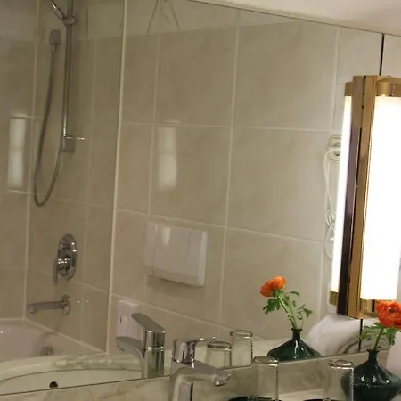 Alpenhotel Hotel 3*