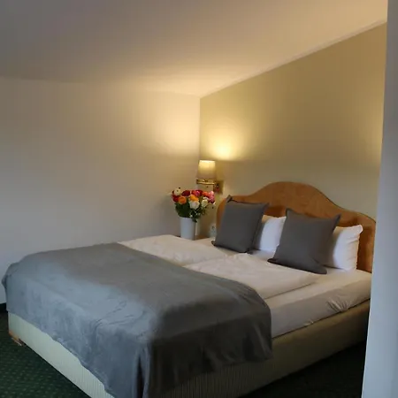 Hotel Alpenhotel 3*