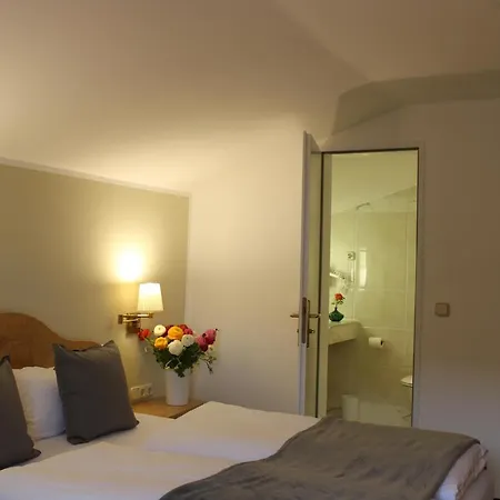 Hotel Alpenhotel 3*