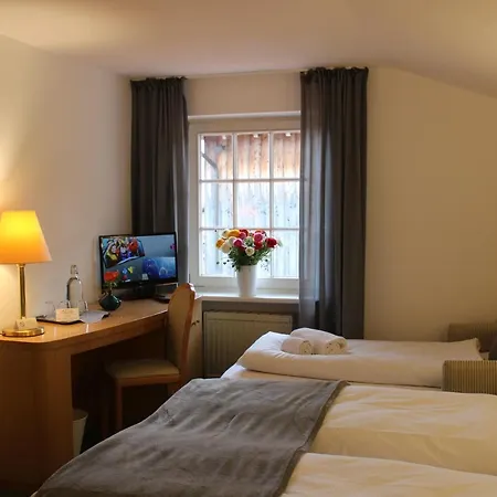 Hotel Alpenhotel 3*