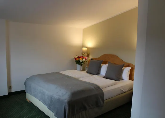 Otel Alpenhotel 3*