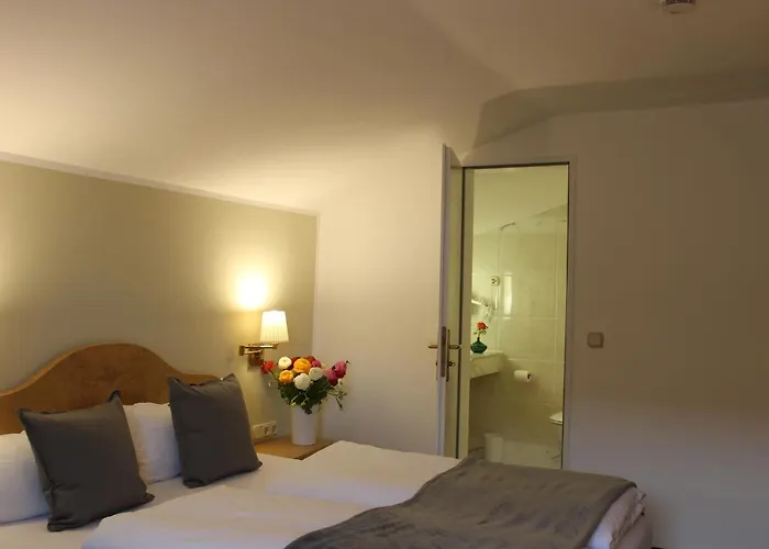 Otel Alpenhotel 3*