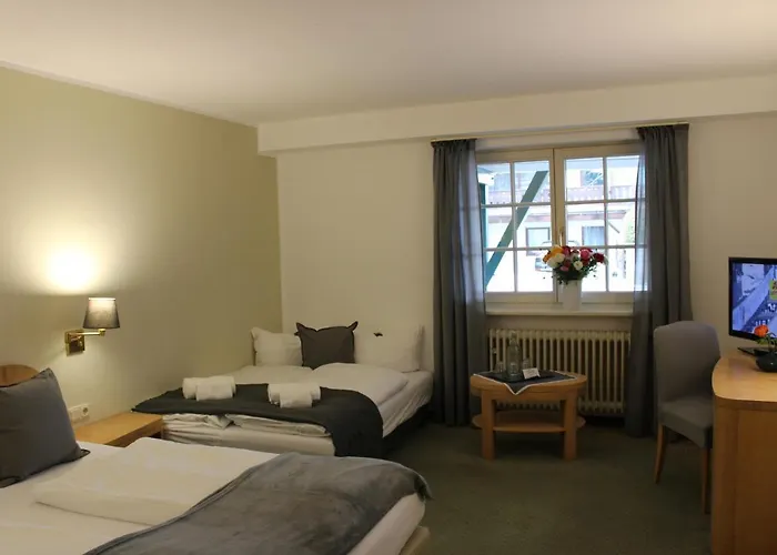 Otel Alpenhotel