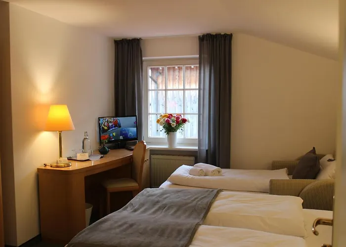 Otel Alpenhotel 3*
