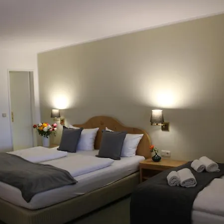 Hotel Alpenhotel 3*