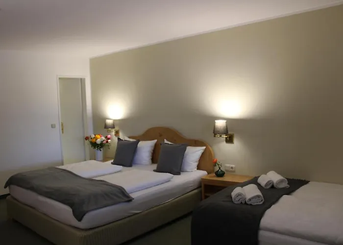 Hotel Alpenhotel 3*